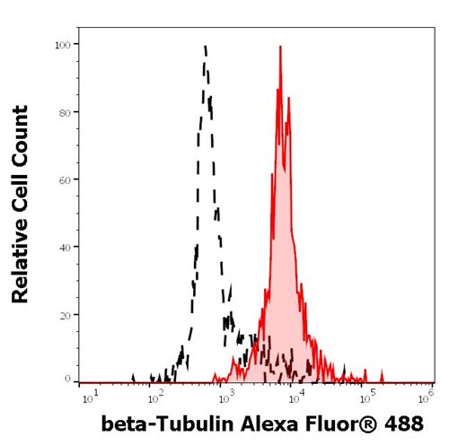 Anti-beta Tubulin Alexa Fluor<sup>®</sup> 488