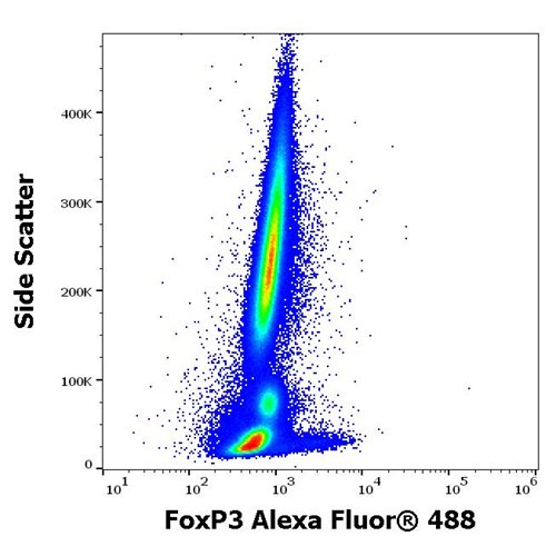 Anti-FoxP3 Alexa Fluor<sup>®</sup> 488