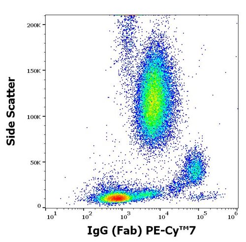 Anti-Hu IgG (Fab) PE-Cy™7
