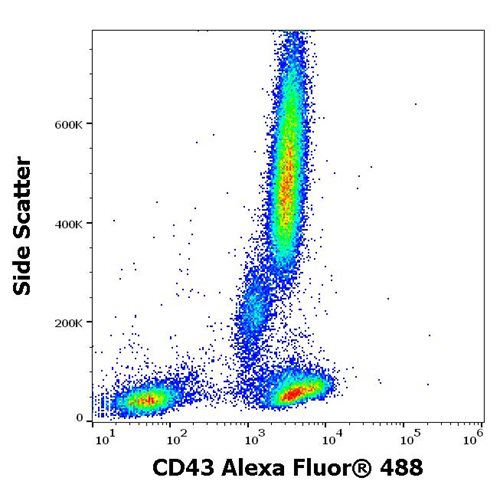 Anti-Hu CD43 Alexa Fluor<sup>®</sup> 488