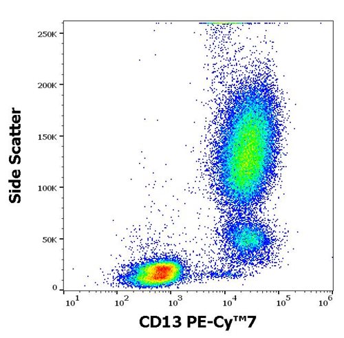 Anti-Hu CD13 PE-Cy™7