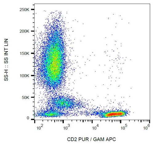 Anti-Hu CD2 Purified