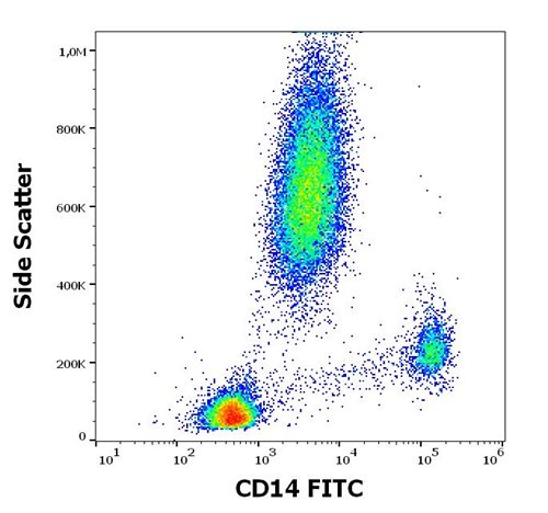 Anti-Hu CD14 FITC