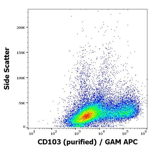 Anti-Hu CD103 Purified