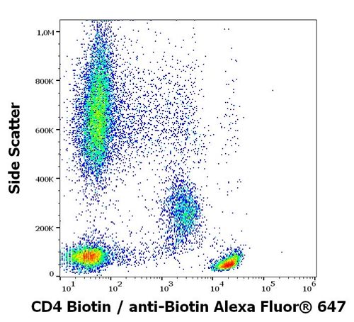 Anti-Hu CD4 Biotin