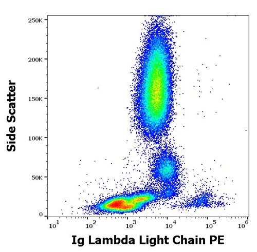 Anti-Hu Ig Lambda Light Chain PE
