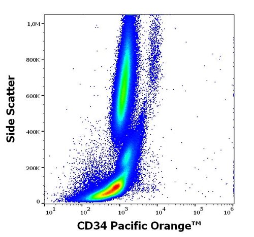 Anti-Hu CD34 Pacific Orange™