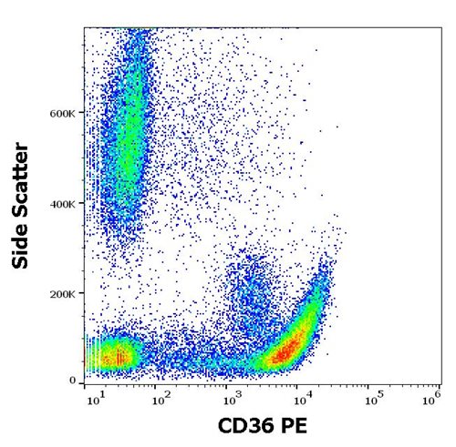 Anti-Hu CD36 PE