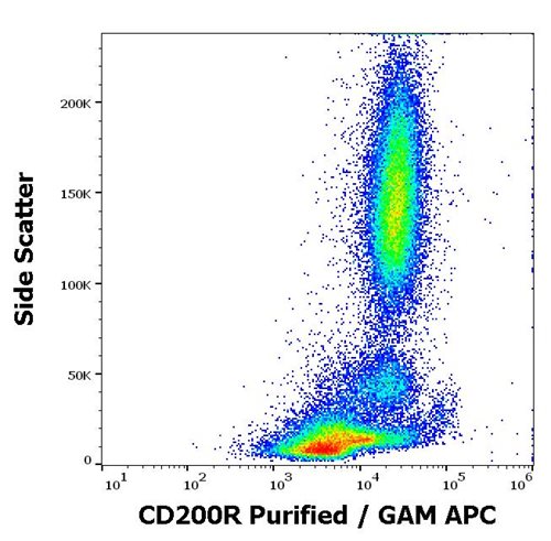 Anti-Hu CD200R Purified