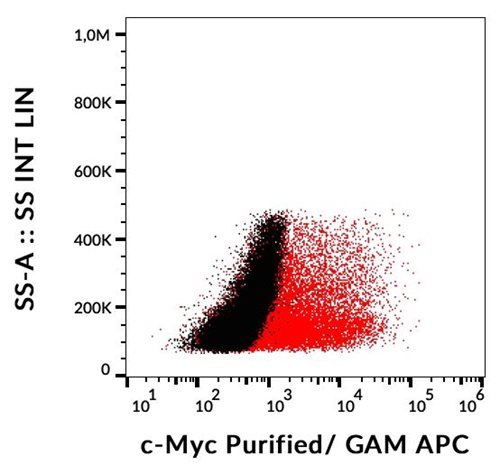 Anti-c-Myc tag Purified