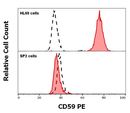 Anti-Hu CD59 PE