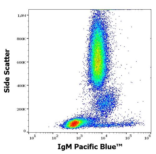 Anti-Hu IgM Pacific Blue™