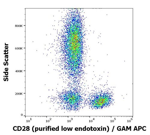 Anti-Hu CD28 Purified Low Endotoxin