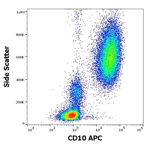 Anti-Hu CD10 APC