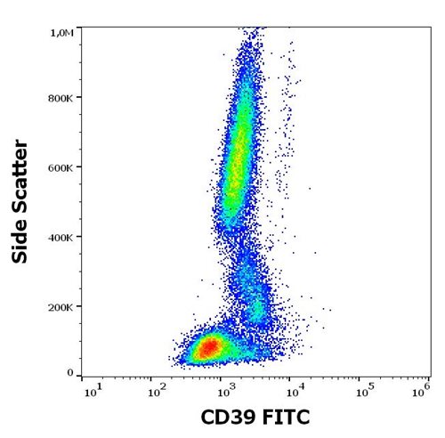 Anti-Hu CD39 FITC