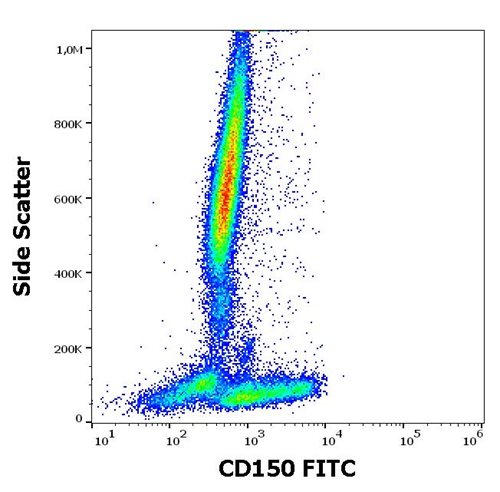 Anti-Hu CD150 FITC