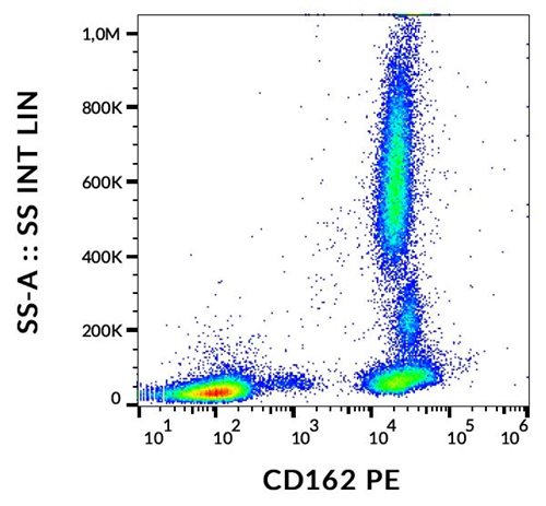 Anti-Hu CD162 PE