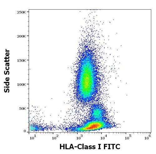 Anti-HLA Class I FITC