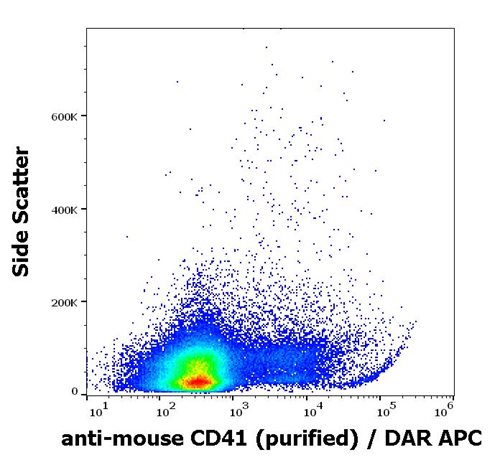 Anti-Ms CD41 Purified Low Endotoxin