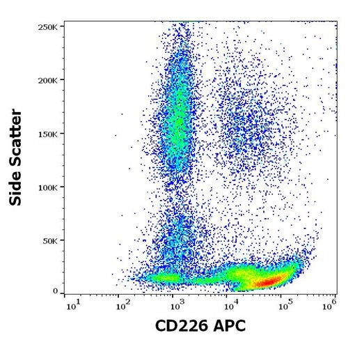 Anti-Hu CD226 APC