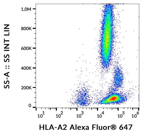 Anti-HLA-A2 Alexa Fluor<sup>®</sup> 647