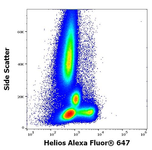 Anti-Helios Alexa Fluor<sup>®</sup> 647