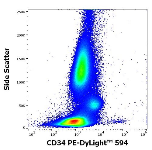 Anti-Hu CD34 PE-DyLight™ 594