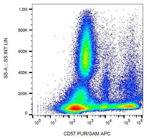 Anti-Hu CD57 Purified