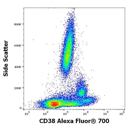 Anti-Hu CD38 Alexa Fluor<sup>®</sup> 700