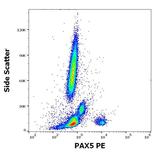 Anti-PAX5 PE