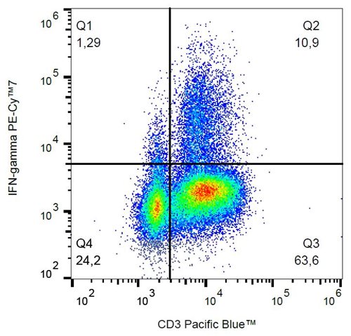 Anti-IFN gamma PE-Cy™7