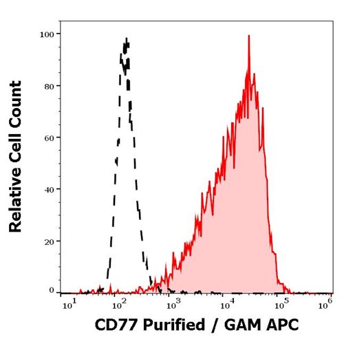 Anti-Hu CD77 Purified