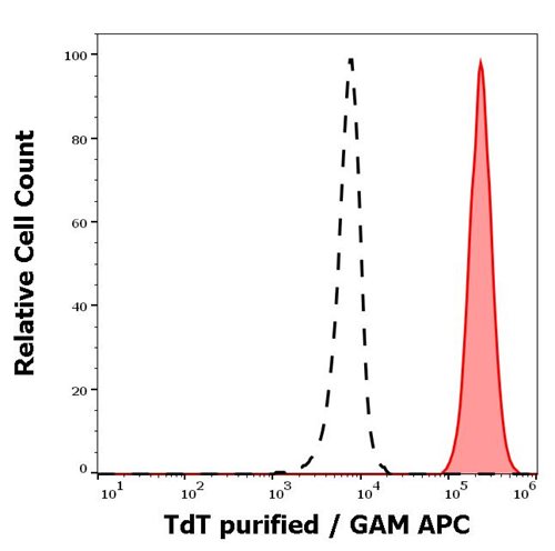 Anti-Hu TdT Purified