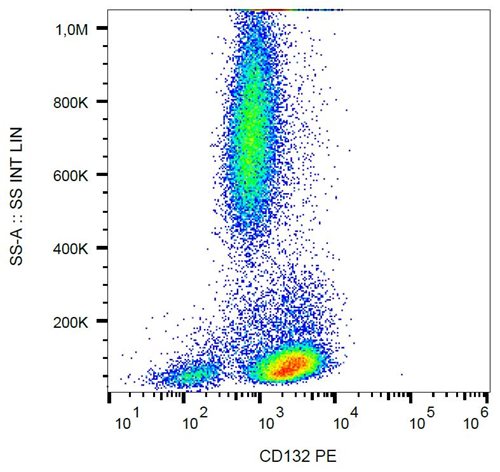 Anti-Hu CD132 PE