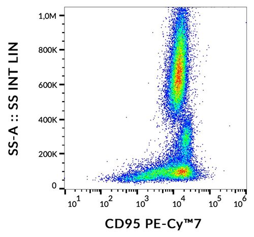 Anti-Hu CD95 PE-Cy™7