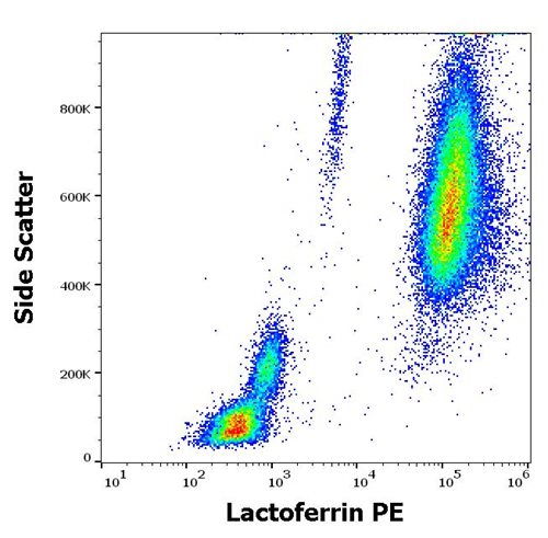 Anti-Lactoferrin PE