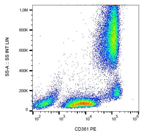 Anti-Hu CD361 PE