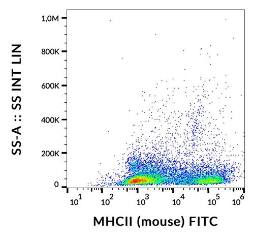 Anti-Ms MHC Class II FITC