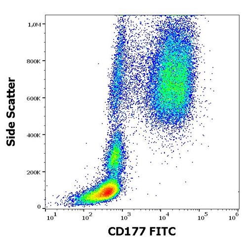 Anti-Hu CD177 FITC