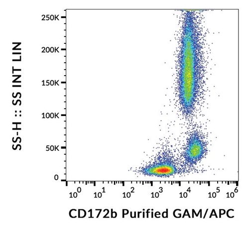 Anti-Hu CD172b Purified