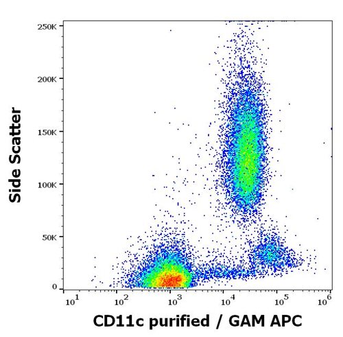 Anti-Hu CD11c Purified