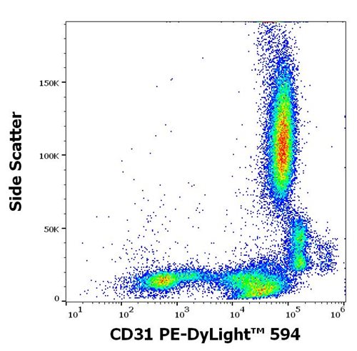 Anti-Hu CD31 PE-DyLight™ 594