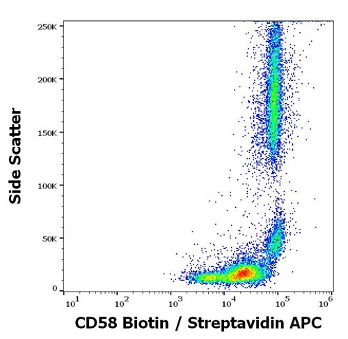 Anti-Hu CD58 Biotin