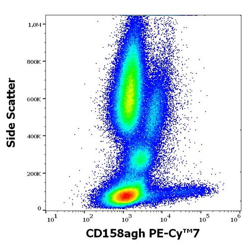 Anti-Hu CD158agh PE-Cy™7