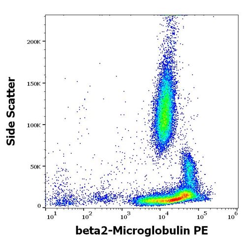 Anti-Hu beta2-Microglobulin PE