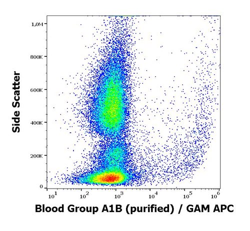 Anti-Blood Group A1B Purified