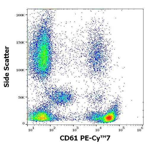 Anti-Hu CD61 PE-Cy™7