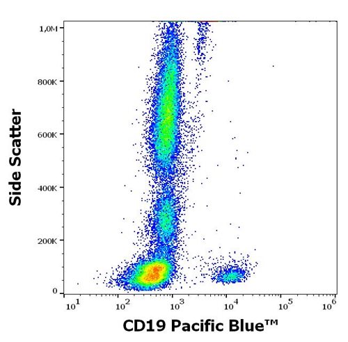 Anti-Hu CD19 Pacific Blue™