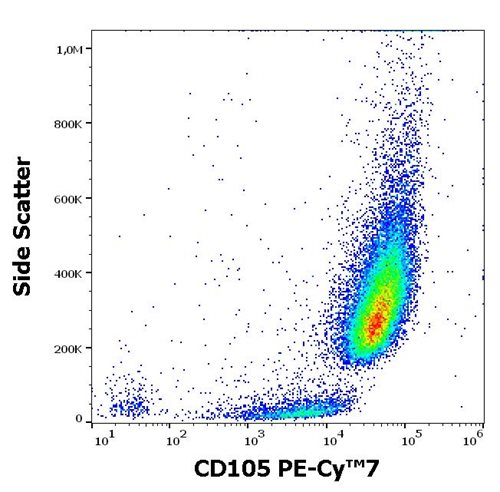 Anti-Hu CD105 PE-Cy™7