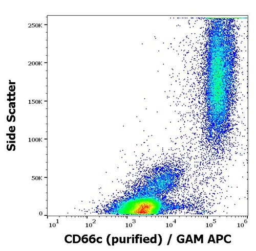 Anti-Hu CD66c Purified